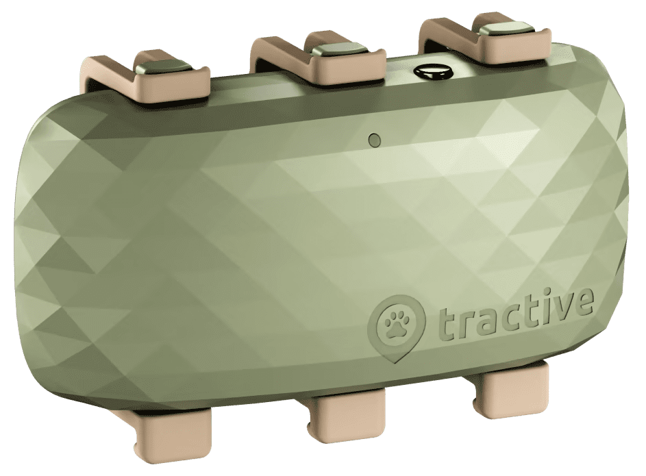 GPS Tracker XL für Hunde